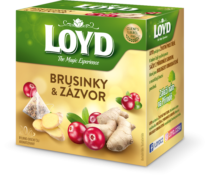 Loyd Pyramida Brusinky & Zázvor 20x2g